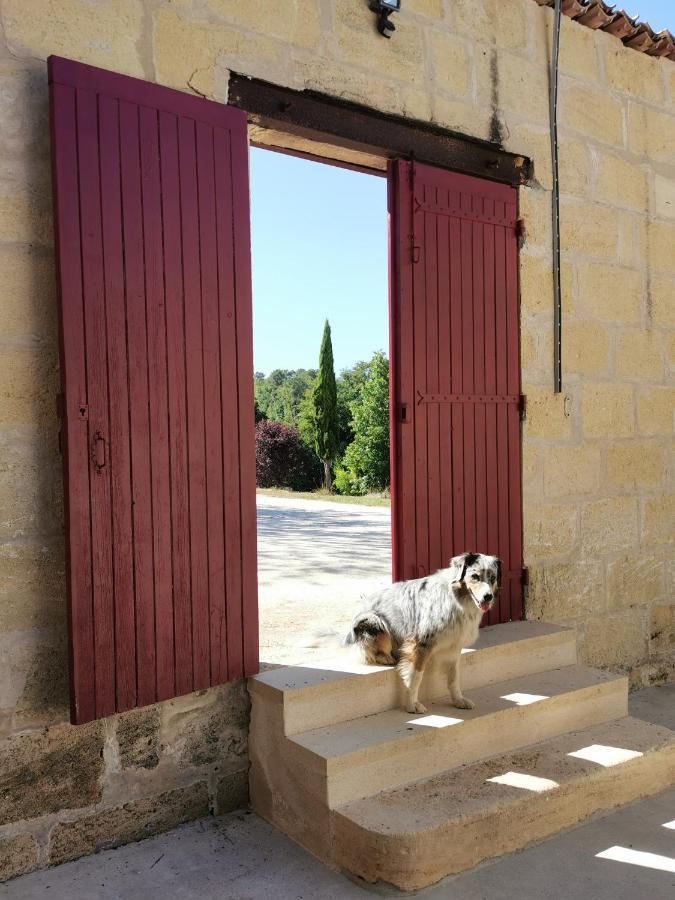 Gite De Charme Au Coeur De L'Entre-Deux-Mers Haux  Εξωτερικό φωτογραφία